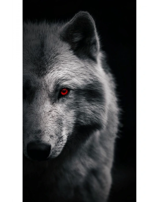 Kurt Kapı Direk Kaplama Folyosu BASKILI STİCKER Sağ-Sol 2 Adet 22*50 CM