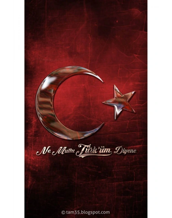 Türk Bayrağı Kapı Direk Kaplama Folyosu BASKILI STİCKER Sağ-Sol 2 Adet 22*50 CM