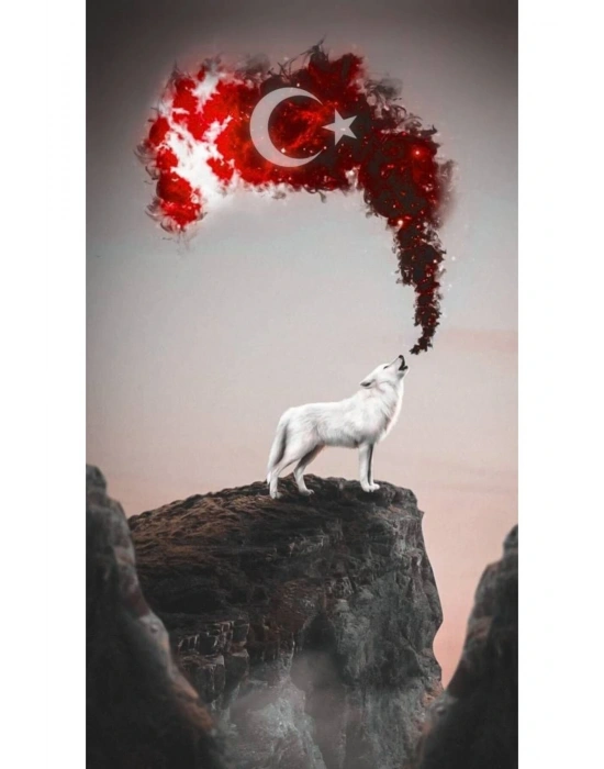 Kurt Kapı Direk Kaplama Folyosu BASKILI STİCKER Sağ-Sol 2 Adet 22*50 CM