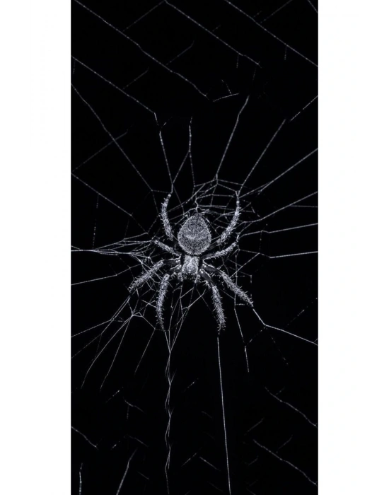 Örümcek Kapı Direk Kaplama Folyosu BASKILI STİCKER Sağ-Sol 2 Adet 22*50 CM