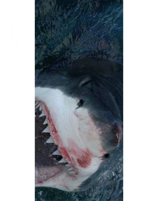 Batman Kapı Direk Kaplama Folyosu BASKILI STİCKER Sağ-Sol 2 Adet 22*50 CM