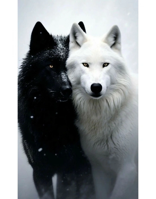 Kurt Kapı Direk Kaplama Folyosu BASKILI STİCKER Sağ-Sol 2 Adet 22*50 CM