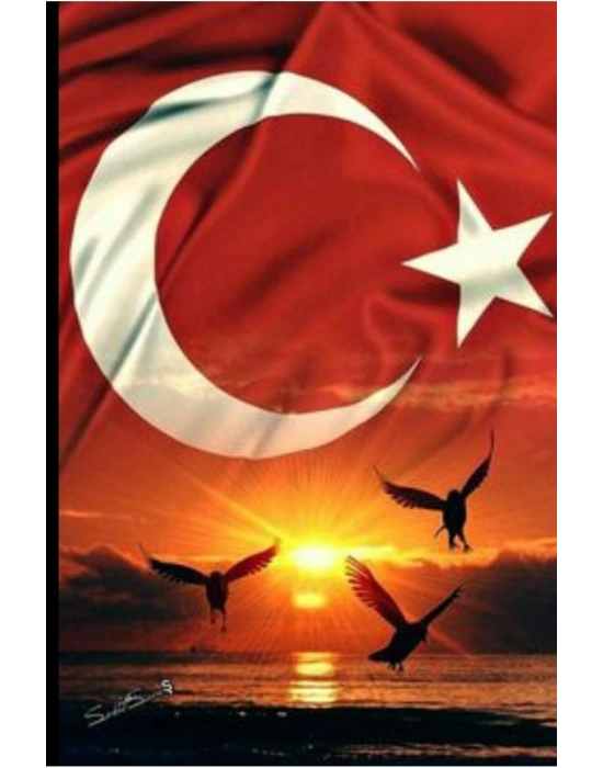 Türk Bayrağı Kurt Kapı Direk Kaplama Folyosu BASKILI STİCKER Sağ-Sol 2 Adet 22*50 CM