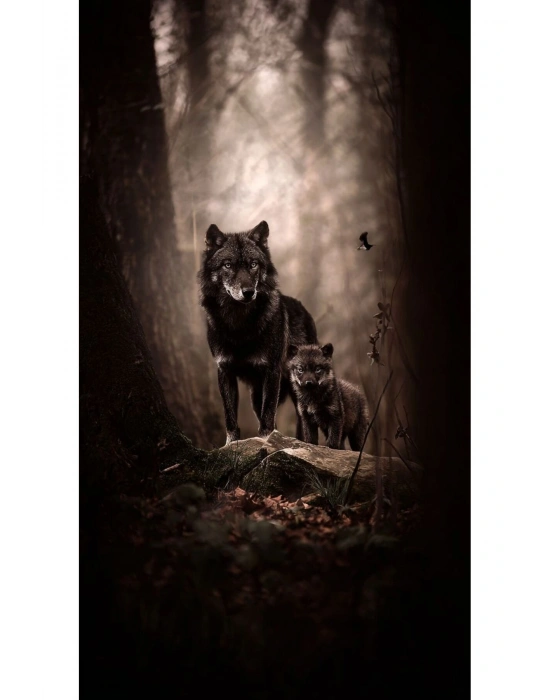 Kurt Kapı Direk Kaplama Folyosu BASKILI STİCKER Sağ-Sol 2 Adet 22*50 CM