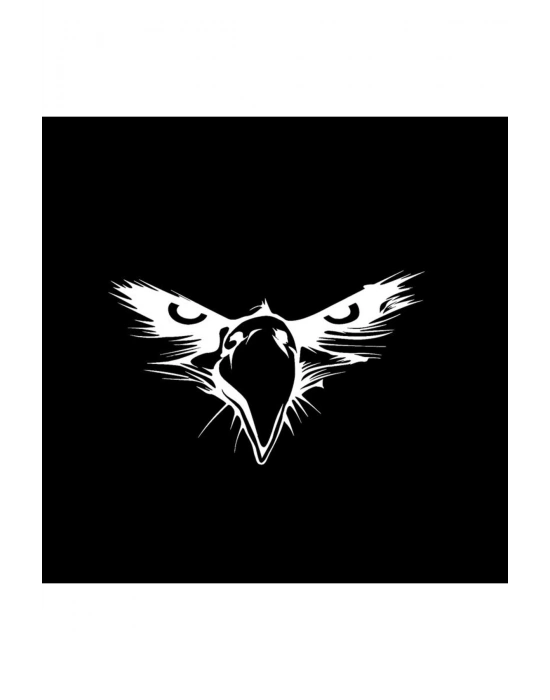 Kartal Göz Sticker Araba, Motorsiklet, Kask, Laptop, Cam Sticker 14x9 Cm