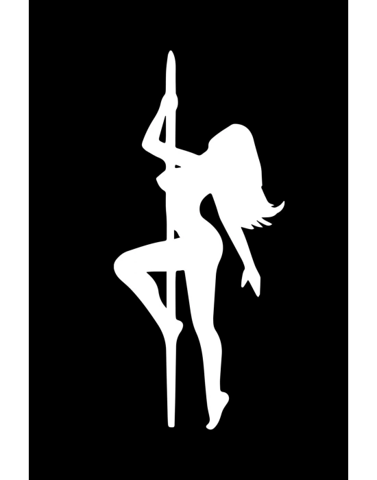 Dirty Dancer Araba, Motorsiklet, Kask, Laptop, Cam Sticker 16x8 Cm