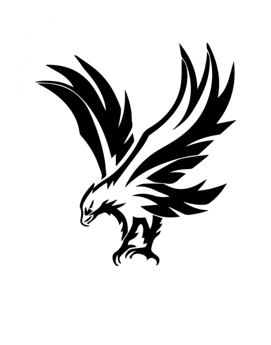 Uçan Kartal Oto Sticker, Motorsiklet Sticker, Kask Sticker 14x12 Cm