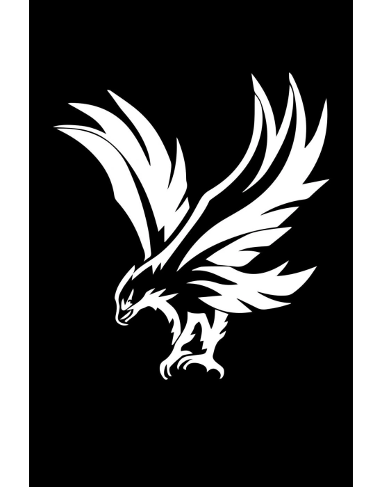 Uçan Kartal Oto Sticker, Motorsiklet Sticker, Kask Sticker 14x12 Cm