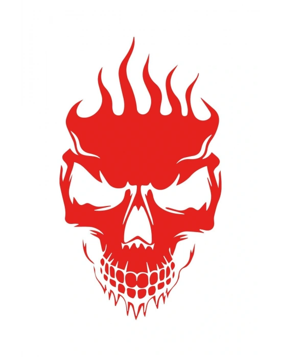 Kuru Kafa Araba, Motorsiklet, Kask, Laptop, Cam Sticker 15x9 Cm