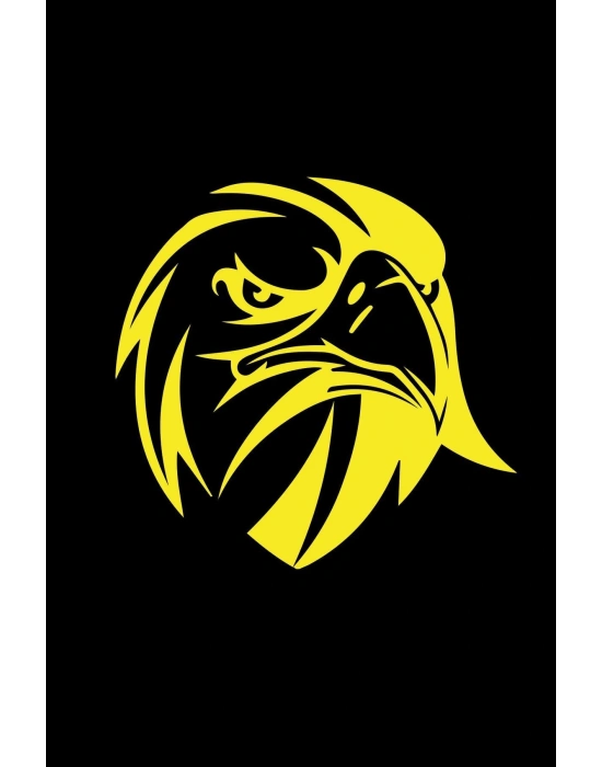 Kızgın Bakışlı Kartal Araba, Motorsiklet, Kask, Laptop, Cam Sticker 13x12 Cm