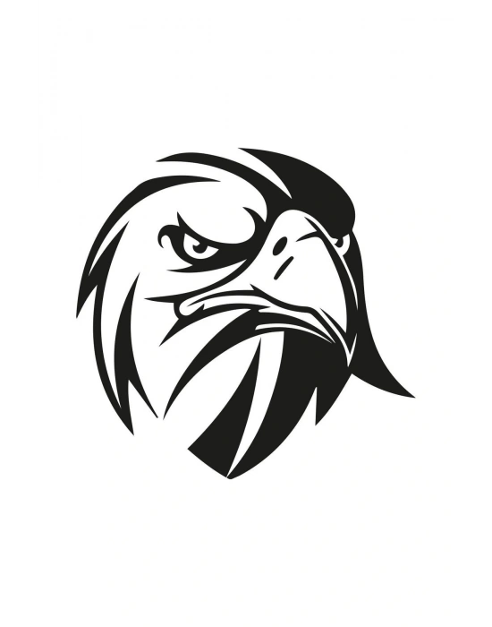 Kızgın Bakışlı Kartal Araba, Motorsiklet, Kask, Laptop, Cam Sticker 13x12 Cm