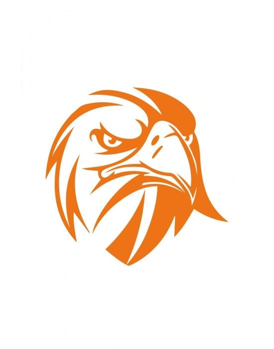 Kızgın Bakışlı Kartal Araba, Motorsiklet, Kask, Laptop, Cam Sticker 13x12 Cm