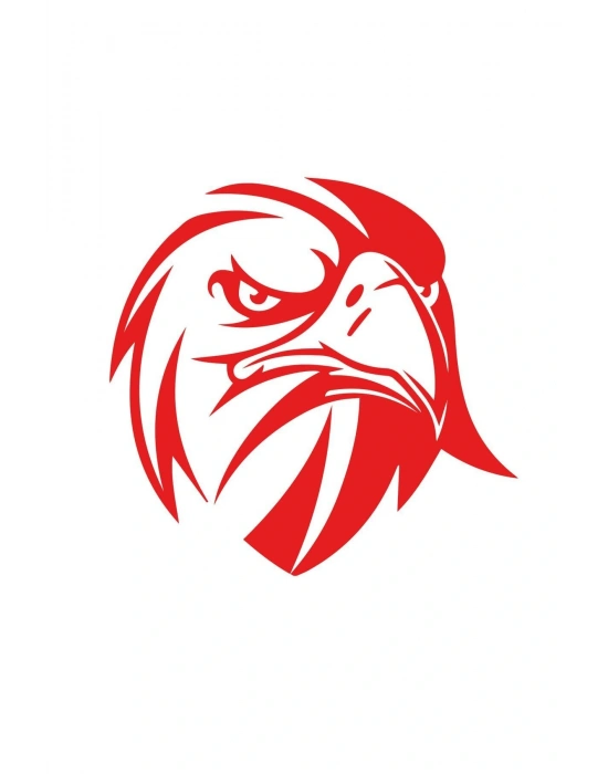 Kızgın Bakışlı Kartal Araba, Motorsiklet, Kask, Laptop, Cam Sticker 13x12 Cm