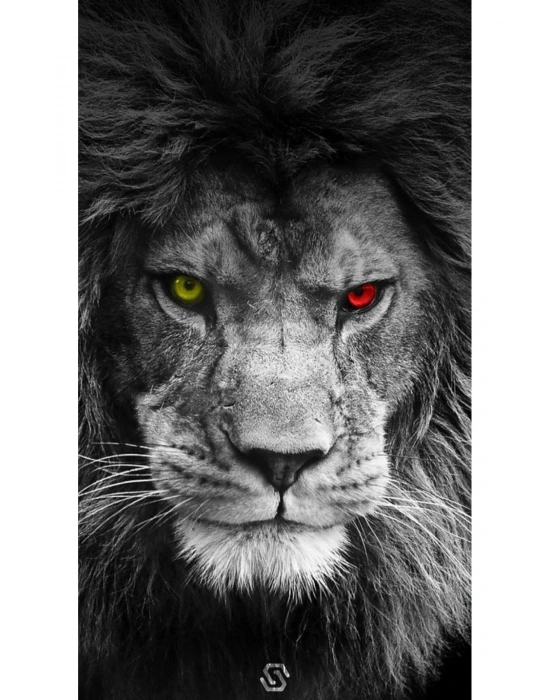 Araba Kapı Direk Kaplama Folyosu galatasaray