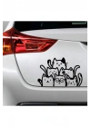 Siyah Kediler Araba Stickerı - Siyah Kediler Araba Çıkartması
