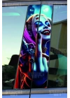 HARLEY QUİNN Kapı Direk Kaplama Folyosu BASKILI STİCKER Sağ-Sol 2 Adet 22*50 CM