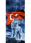 Kurt ve Türk Bayrağı Kapı Direk Kaplama Folyosu BASKILI STİCKER Sağ-Sol 2 Adet 22*50 CM