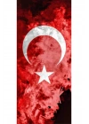 Türk Bayrağı ve Kurt Kapı Direk Kaplama Folyosu BASKILI STİCKER Sağ-Sol 2 Adet 22*50 CM