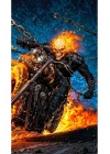Ghost-Rider Kapı Direk Kaplama Folyosu BASKILI STİCKER Sağ-Sol 2 Adet 22*50 CM