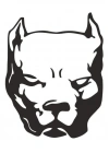 Pitbull Köpek Sticker 00435 10x7,5 Cm
