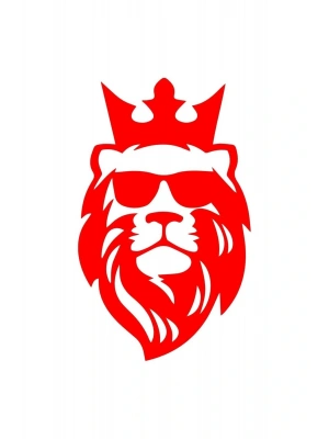 Aslan 13x7 Araba Motorsiklet Kask Laptop Cam Ve Oto Sticker