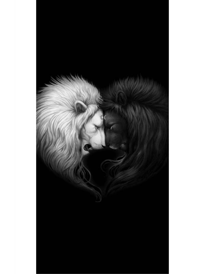 Araba Kapı Direk Kaplama Folyosu Aslan