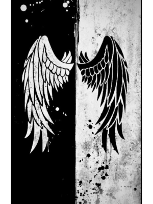 Araba Kapı Direk Kaplama Folyosu melek kanatları