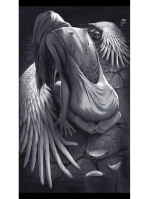 Araba Kapı Direk Kaplama Folyosu kanatlarıkopman melek