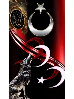 Araba Kapı Direk Kaplama Folyosu türk bayrağı ve kurt