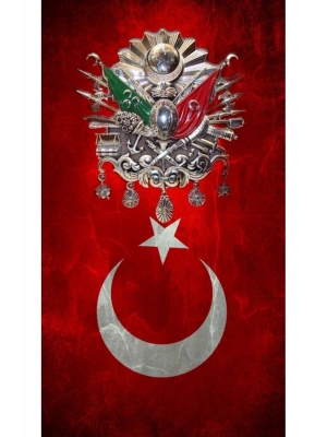Araba Kapı Direk Kaplama Folyosu türk bayrağı osmanlı tuğrası