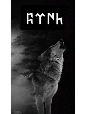 Araba Kapı Direk Kaplama Folyosu uluyan kurt