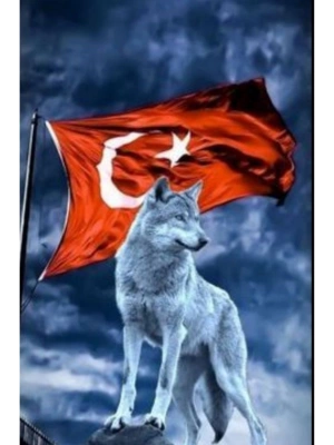 Araba Kapı Direk Kaplama Folyosu kurt cve türk bayrağı