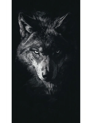 Araba Kapı Direk Kaplama Folyosu kurt