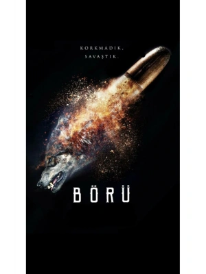 Araba Kapı Direk Kaplama Folyosu kurt