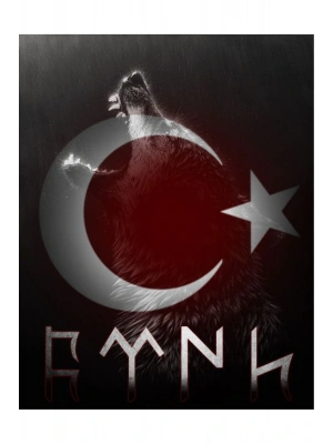 Araba Kapı Direk Kaplama Folyosu kurt