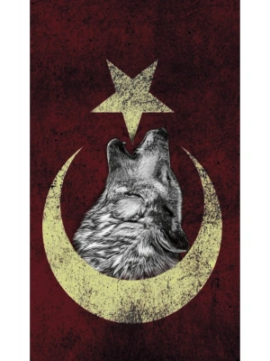 Araba Kapı Direk Kaplama Folyosu kurt