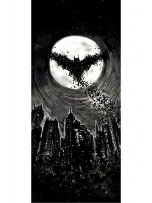 Araba Kapı Direk Kaplama Folyosu Batman