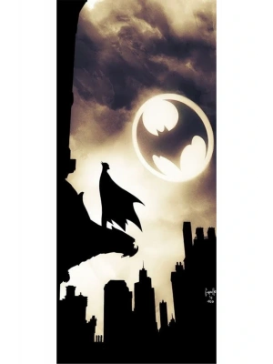 Araba Kapı Direk Kaplama Folyosu Batman