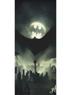 Araba Kapı Direk Kaplama Folyosu Batman