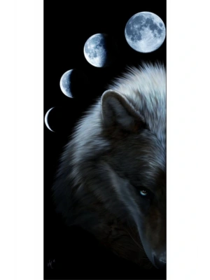 Araba Kapı Direk Kaplama Folyosu Kurt ve Ay Evreleri