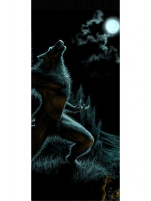 Araba Kapı Direk Kaplama Folyosu Kurt