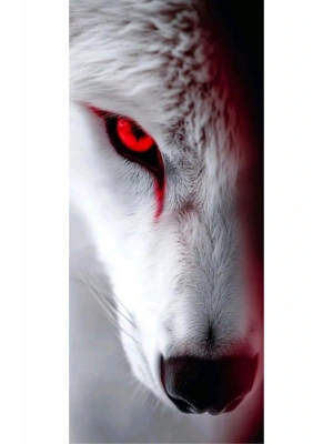 Araba Kapı Direk Kaplama Folyosu Kurt