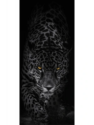 Araba Kapı Direk Kaplama Folyosu Siyah Leopar