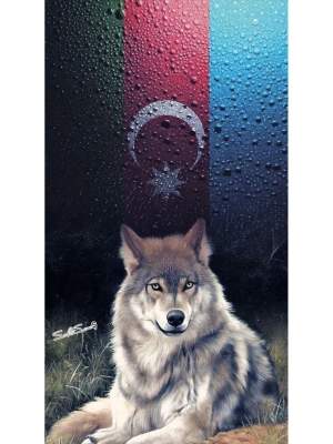 Joker Kapı Direk Kaplama Folyosu BASKILI STİCKER Sağ-Sol 2 Adet 22*50 CM