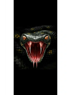 Yılan Kapı Direk Kaplama Folyosu BASKILI STİCKER Sağ-Sol 2 Adet 22*50 CM