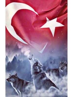 Kurt Kapı Direk Kaplama Folyosu BASKILI STİCKER Sağ-Sol 2 Adet 22*50 CM