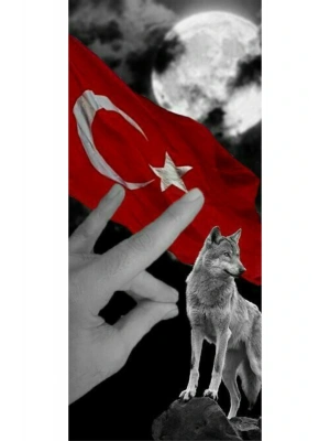 Ülkücü Kurt Kapı Direk Kaplama Folyosu BASKILI STİCKER Sağ-Sol 2 Adet 22*50 CM