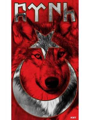 Türk Bayrağı ve Kurt Kapı Direk Kaplama Folyosu BASKILI STİCKER Sağ-Sol 2 Adet 22*50 CM