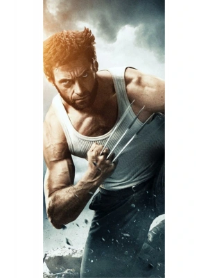 Wolverine Kapı Direk Kaplama Folyosu BASKILI STİCKER Sağ-Sol 2 Adet 22*50 CM