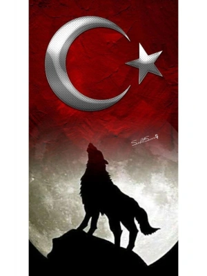 Kurt Kapı Direk Kaplama Folyosu BASKILI STİCKER Sağ-Sol 2 Adet 22*50 CM